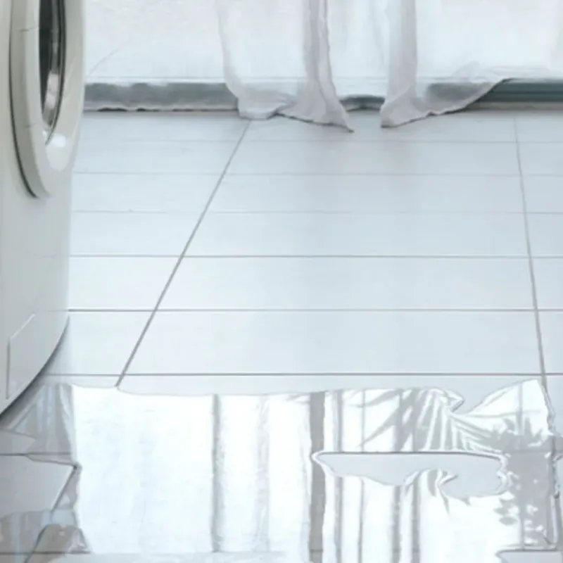 Appliance Leak Cleanup in Lynn Haven, FL